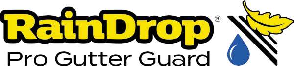 Raindrop logo